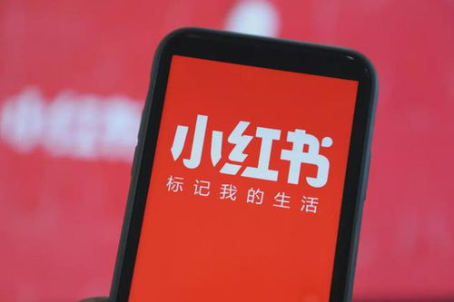 商業(yè)動態(tài)觀察 融資潮與業(yè)務(wù)拓展并行